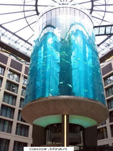 stiati ca???..... berlin este unul din cel mai mare acvariu din lume,care sta picoare.